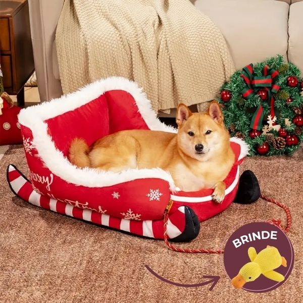 Natalina - Cama Para Pets Macia Antiderrapante + BRINDE